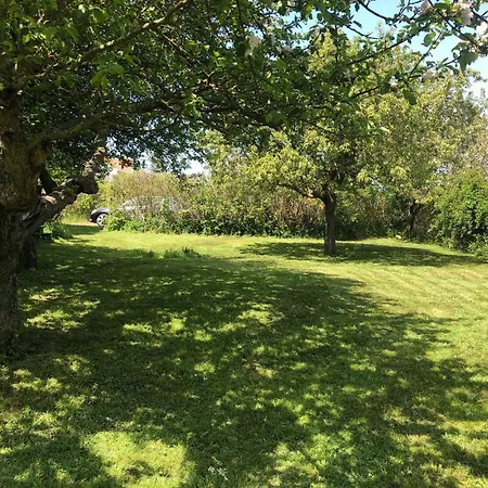 Cozy And Bright Summer House On Bornholm Ferienhaus Allinge-Sandvig