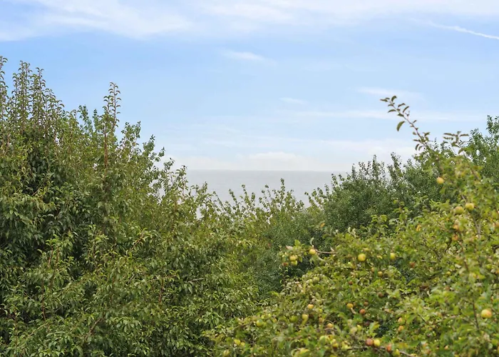 Cozy And Bright Summer House On Bornholm Allinge-Sandvig