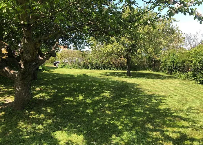 Cozy And Bright Summer House On Bornholm Ferienhaus Allinge-Sandvig